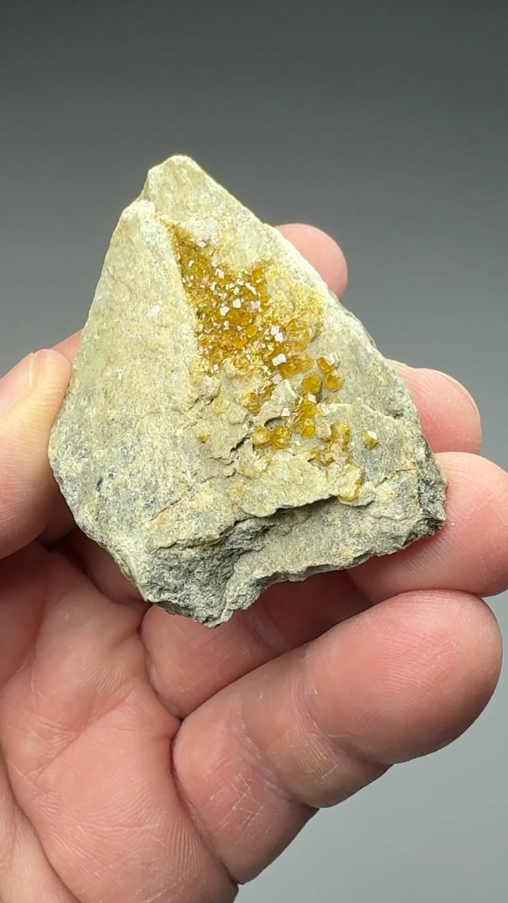 Andradite var Topazolite - image 2