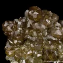 Andradite var. Topazolite - image 4