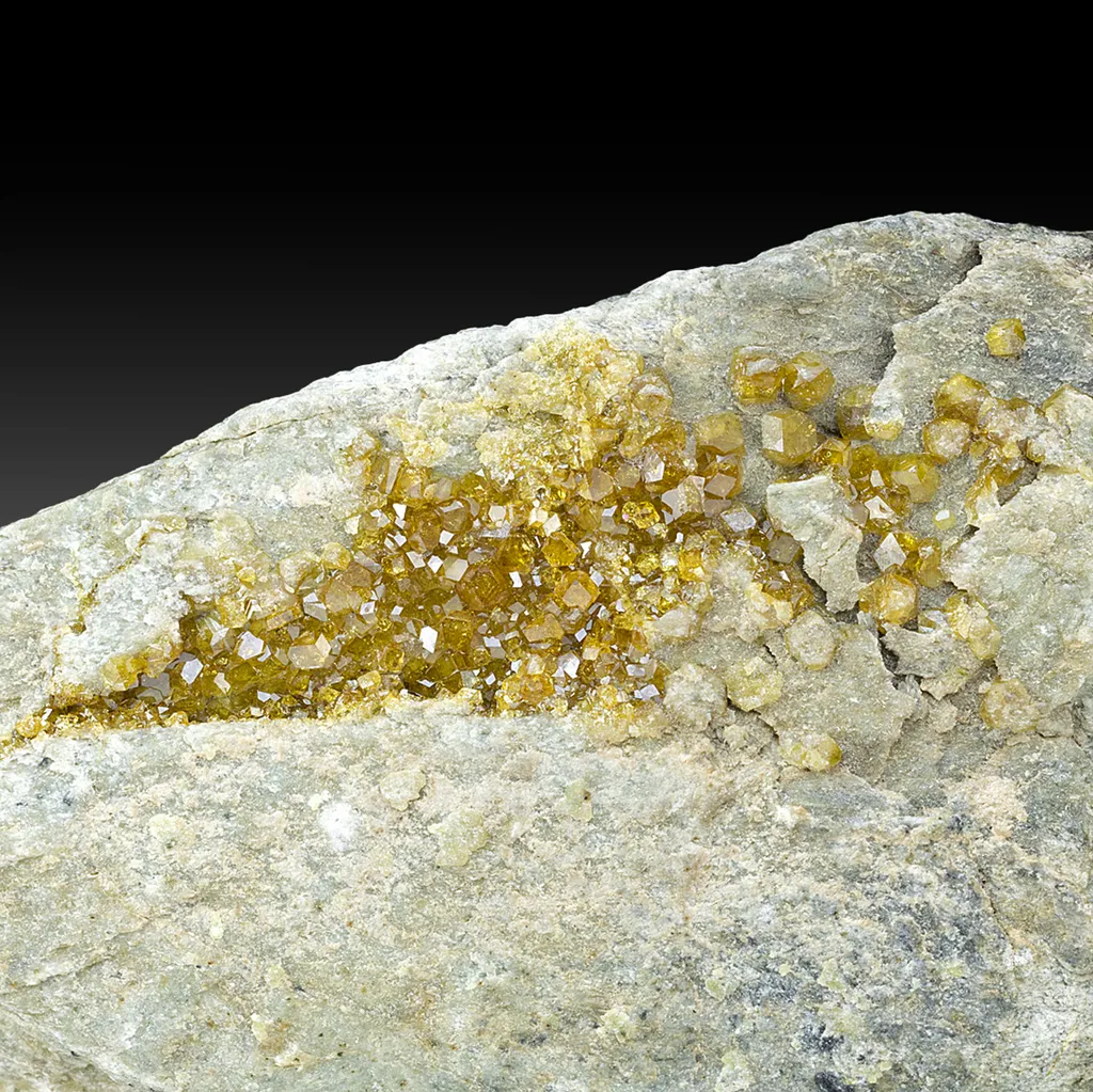 Andradite var Topazolite image