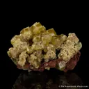 Andradite var. Topazolite - image 2