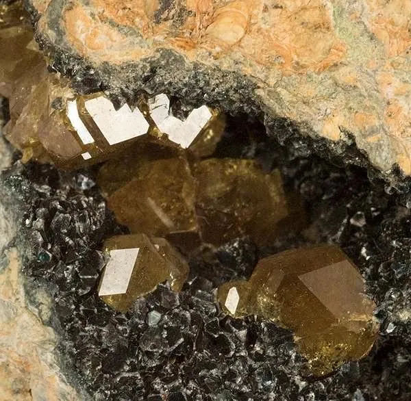 Andradite (Var: Topazolite), Clinochlore - image 2