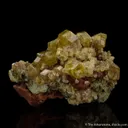 Andradite var. Topazolite - image 4