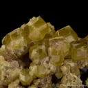 Andradite var. Topazolite - image 3