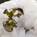 Andradite Var. Topazolite Garnet - image 2
