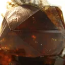 Andradite Var. Topazolite Garnet - image 3