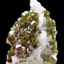 Andradite Var. Topazolite Garnet - image 4