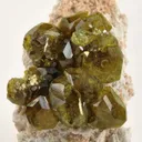 Andradite Var. Topazolite Garnet - image 2
