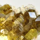 Andradite Var. Topazolite Garnet - image 2