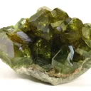 Andradite Var. Topazolite Garnet - image 2
