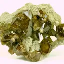Andradite Var. Topazolite Garnet - image 4