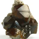 Andradite Var. Topazolite Garnet - image 2