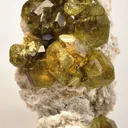 Andradite Var. Topazolite Garnet - image 1