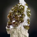 Andradite Var. Topazolite Garnet - image 1