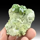 Andradite with Calcite - image 1