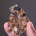 Andradite with Chalcopyrite - image 2