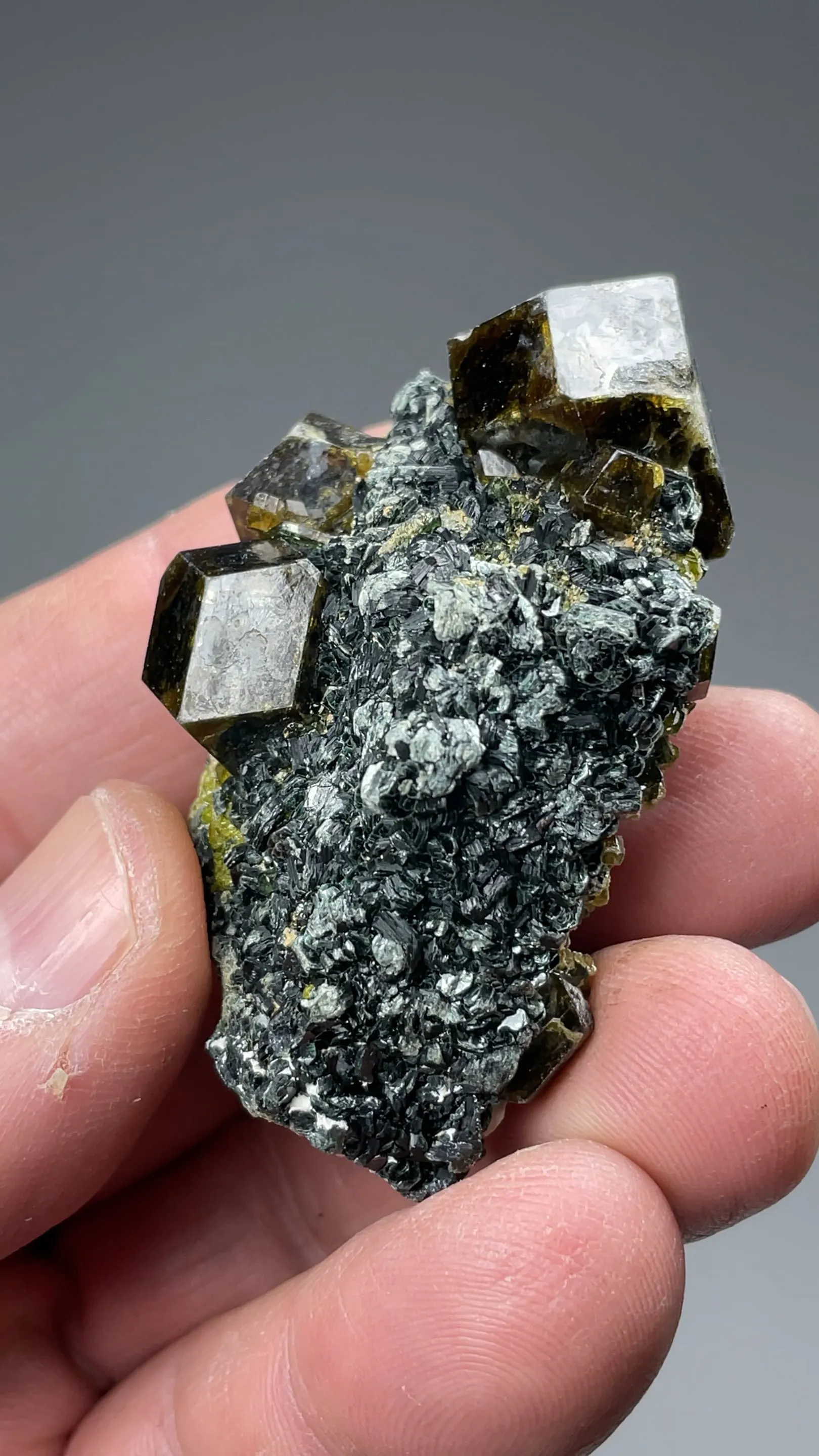 Andradite with Clinochlore - image 2