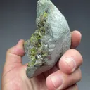 Andradite with Clinozoisite-Epidote - image 2