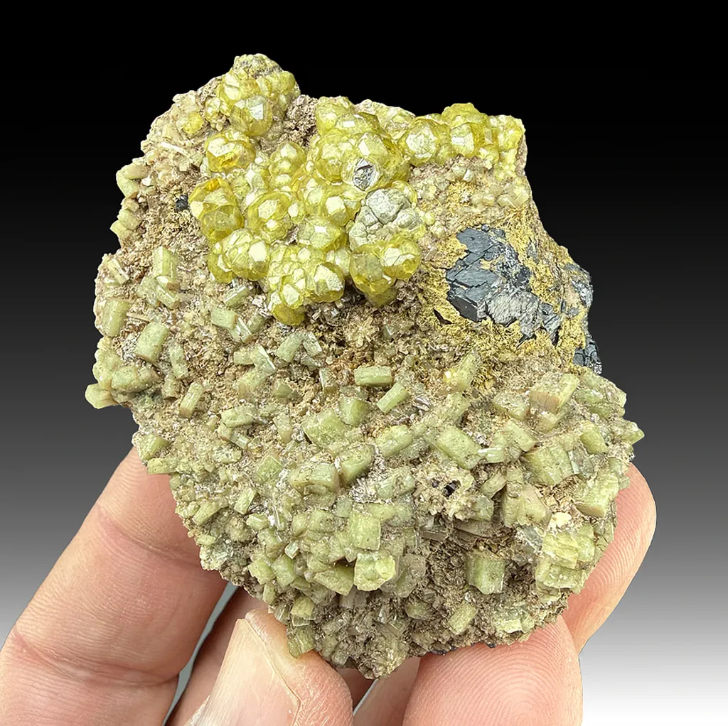 Andradite with Diopside, Magnetite image