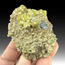 Andradite with Diopside, Magnetite - image 1