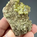 Andradite with Diopside, Magnetite - image 2