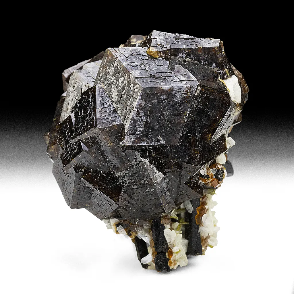 Andradite with Epidote, Albite, Titanite image