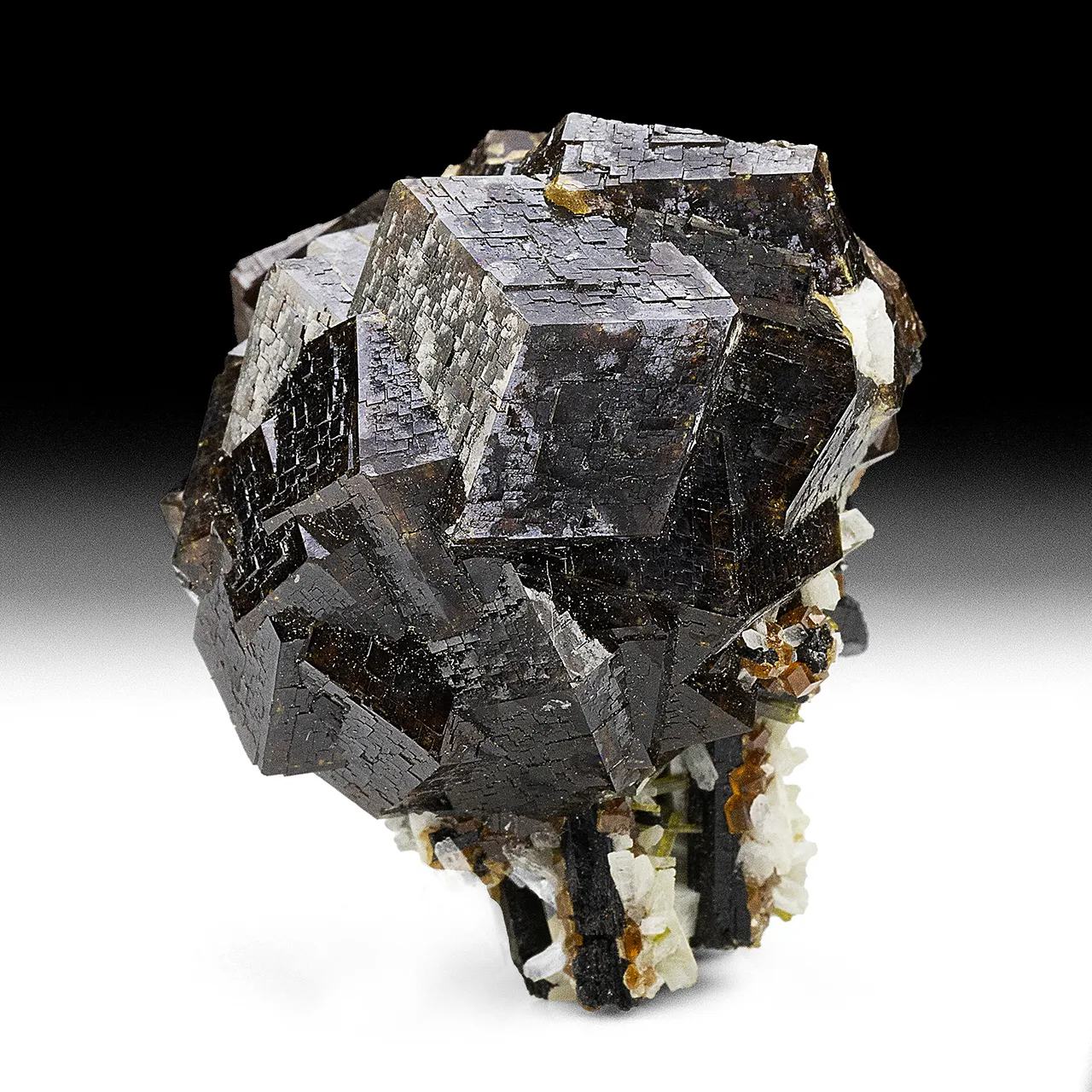Andradite with Epidote, Albite, Titanite - image 1
