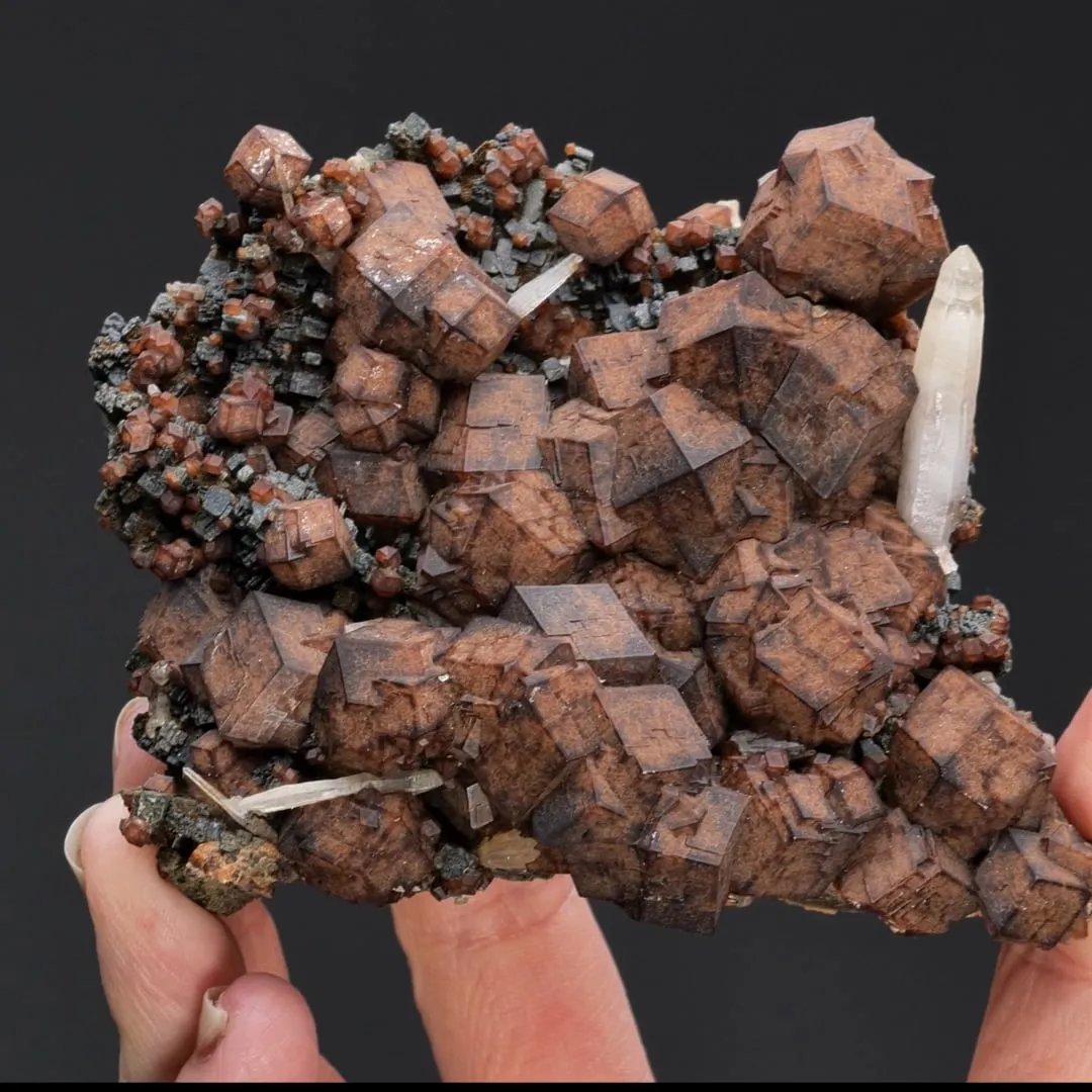 Andradite with Hedenbergite and Quartz - image 2