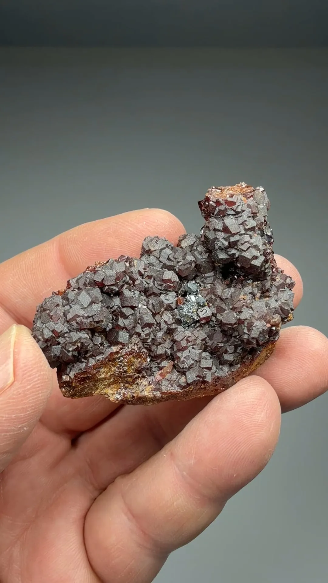Andradite with Hematite - image 2