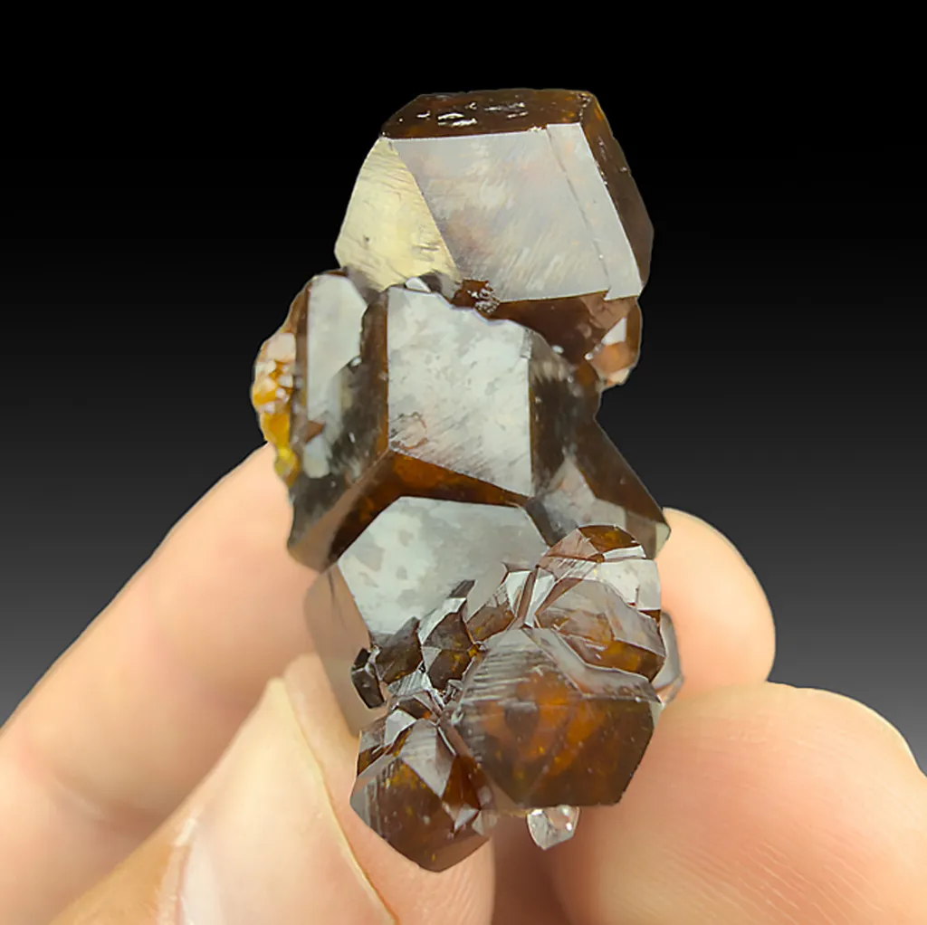 Andradite with Quartz image
