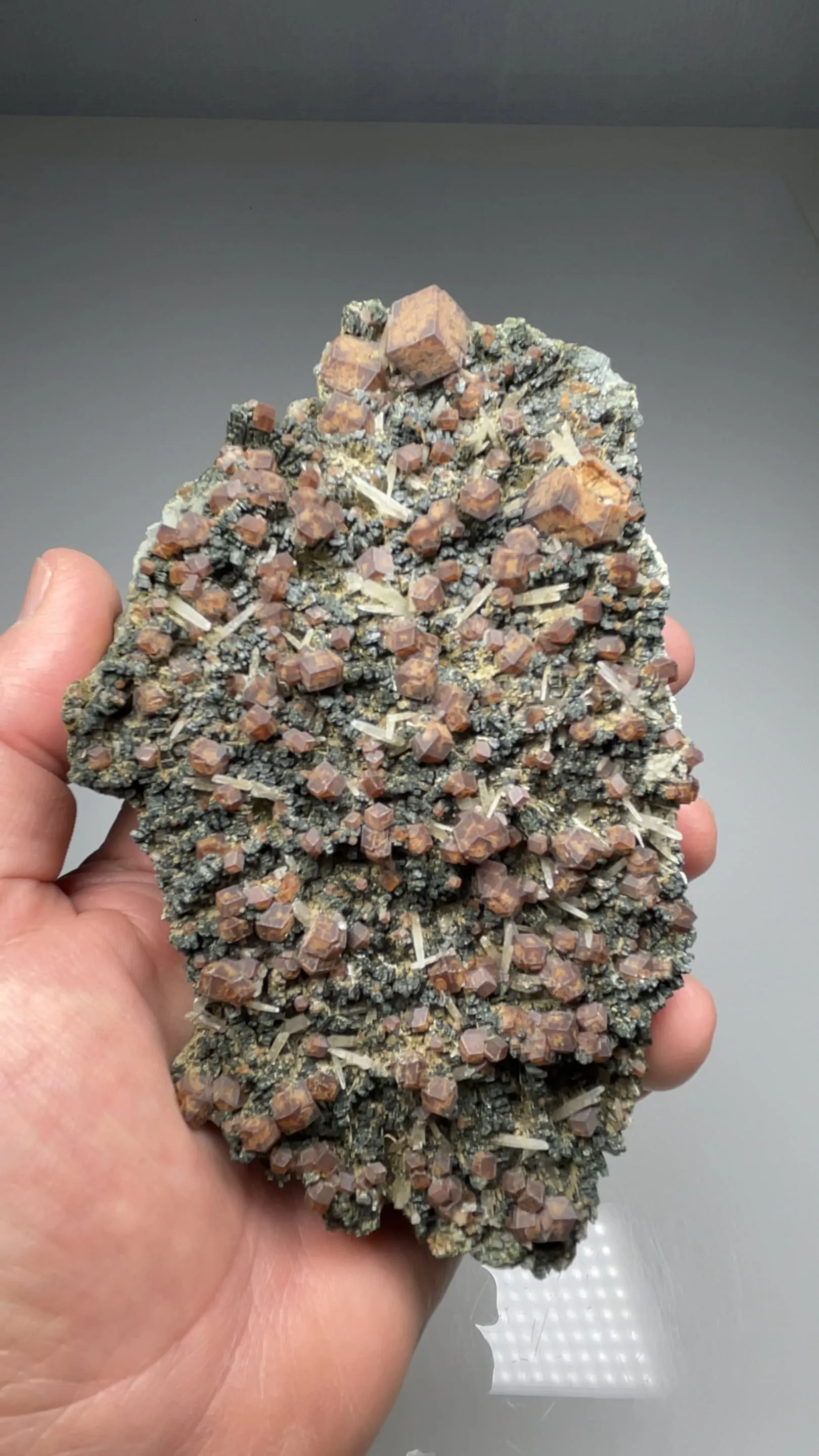 Andradite with Quartz, Hedenbergite - image 2