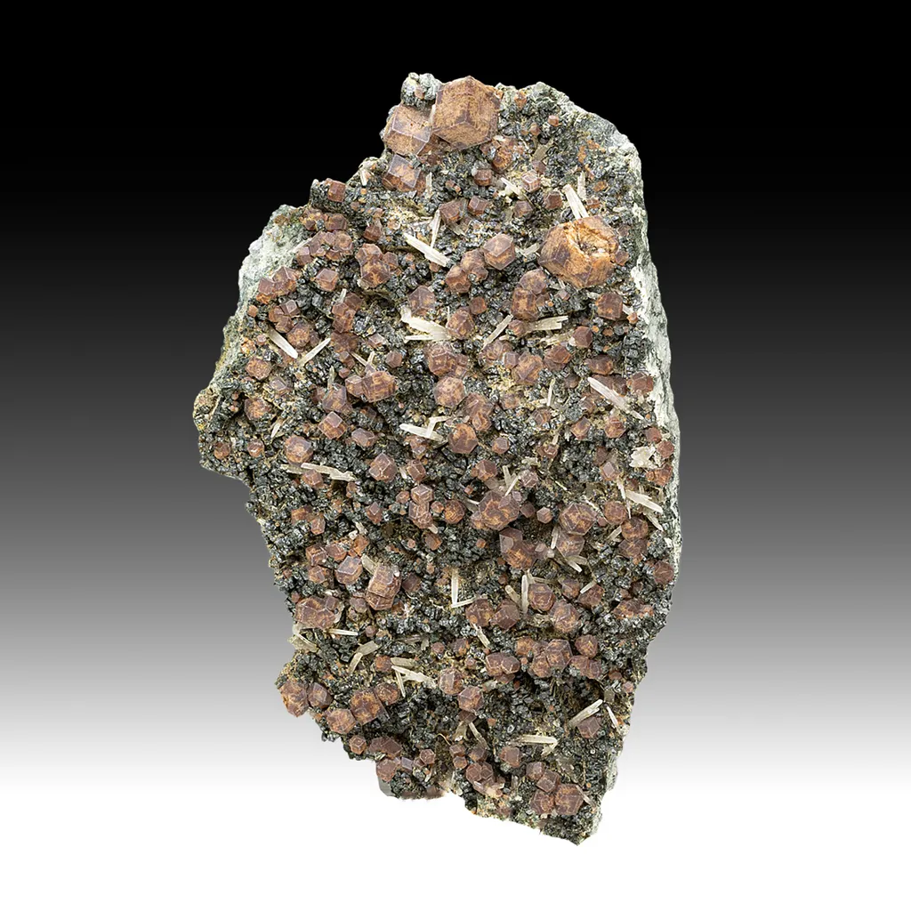 Andradite with Quartz, Hedenbergite image