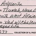Anglesite - image 6