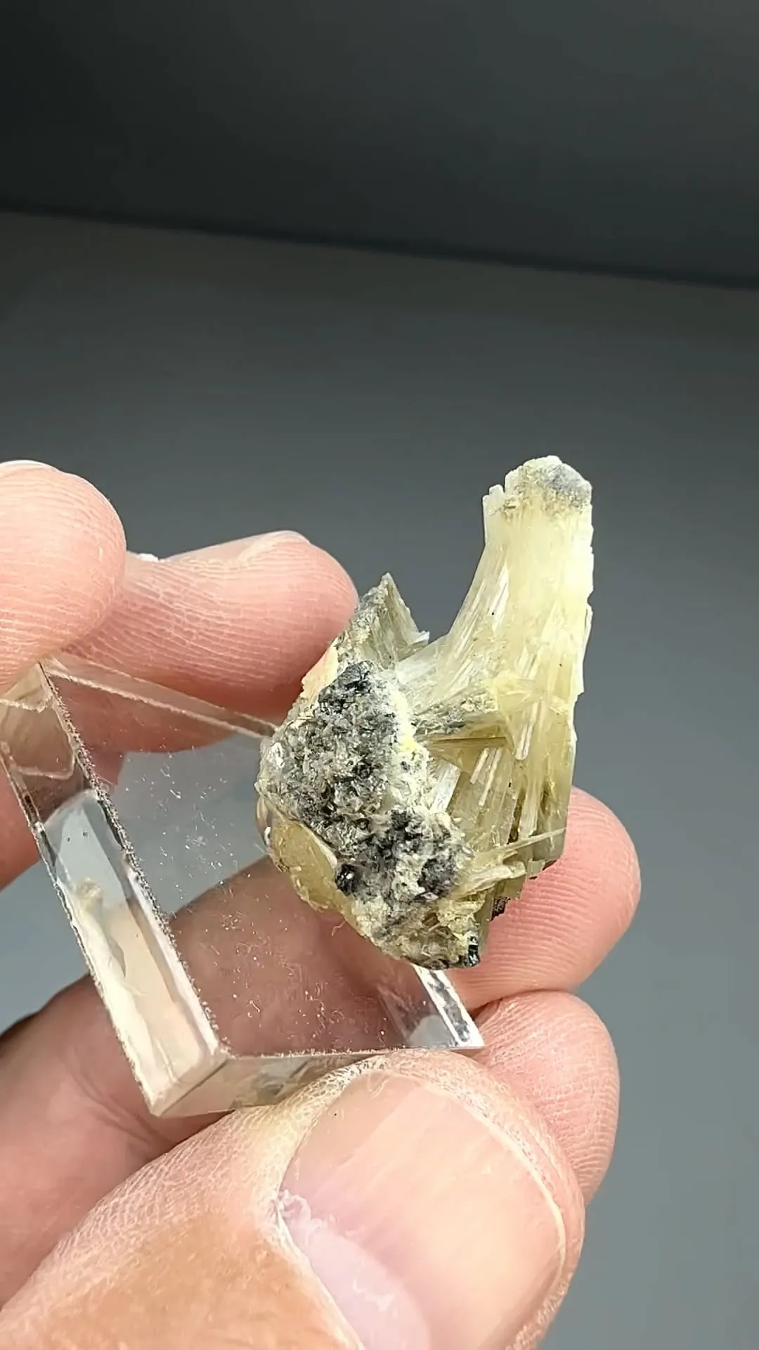 Anglesite (1746) - image 2