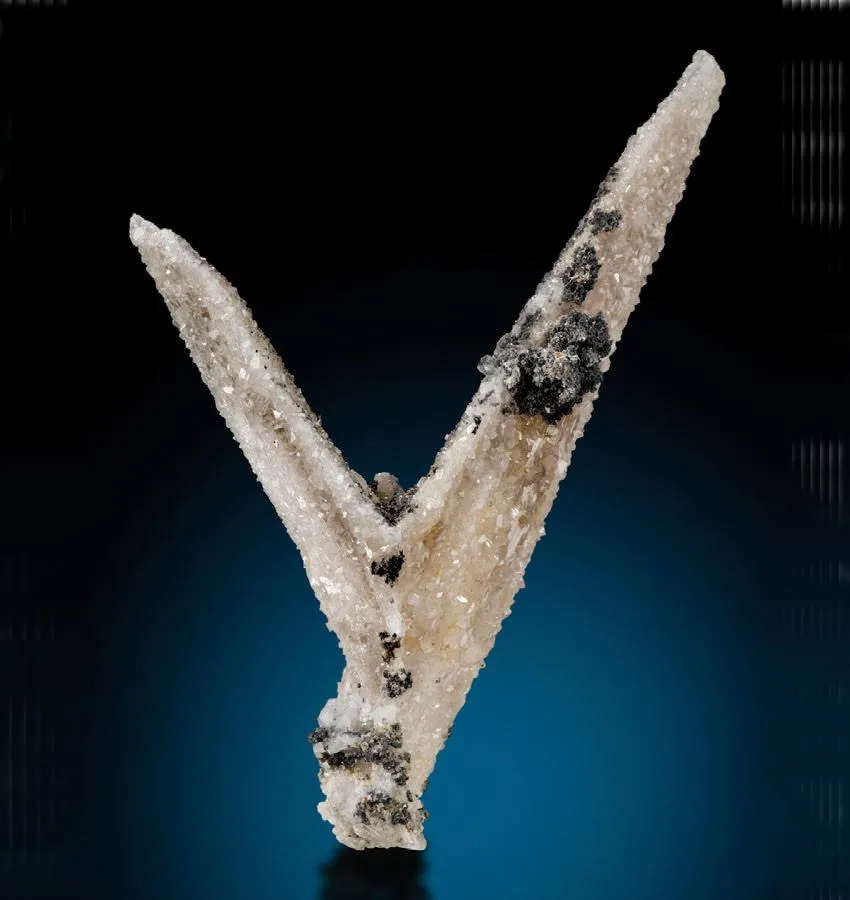 Anglesite, Cerussite image