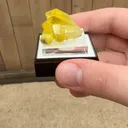 specimen video