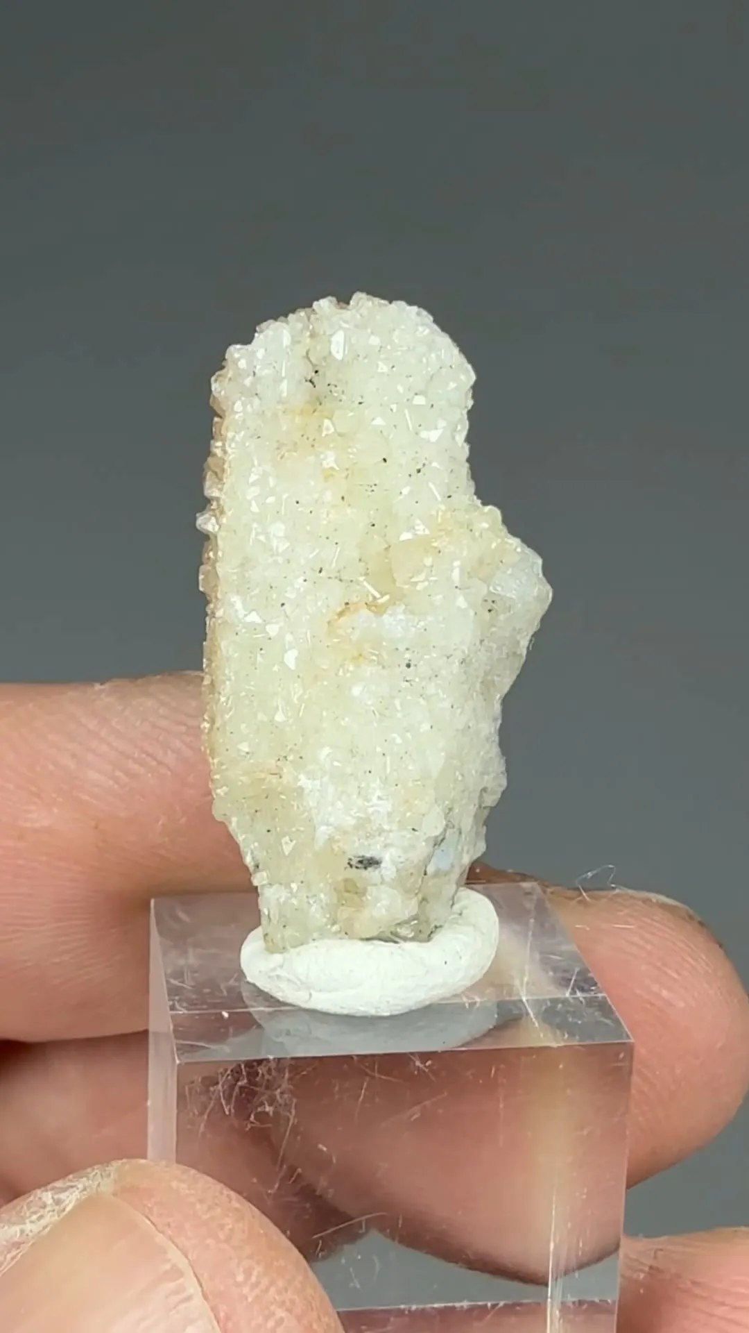 Anglesite on Cerussite - image 2