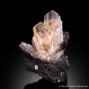 Anglesite on Galena - image 2