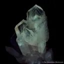 Anglesite on Galena - image 3
