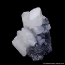 Anglesite on Galena - image 3