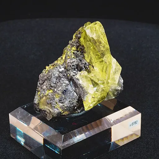 specimen video
