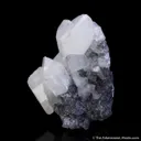 Anglesite on Galena - image 1