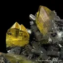 Anglesite on Galena - image 3