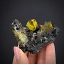 Anglesite on Galena - image 1