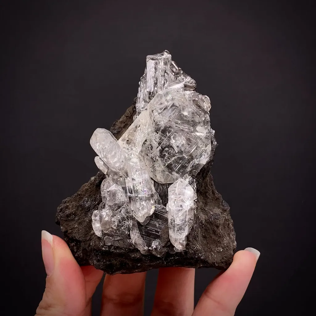 Anglesite on Galena image