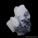 Anglesite on Galena - image 2