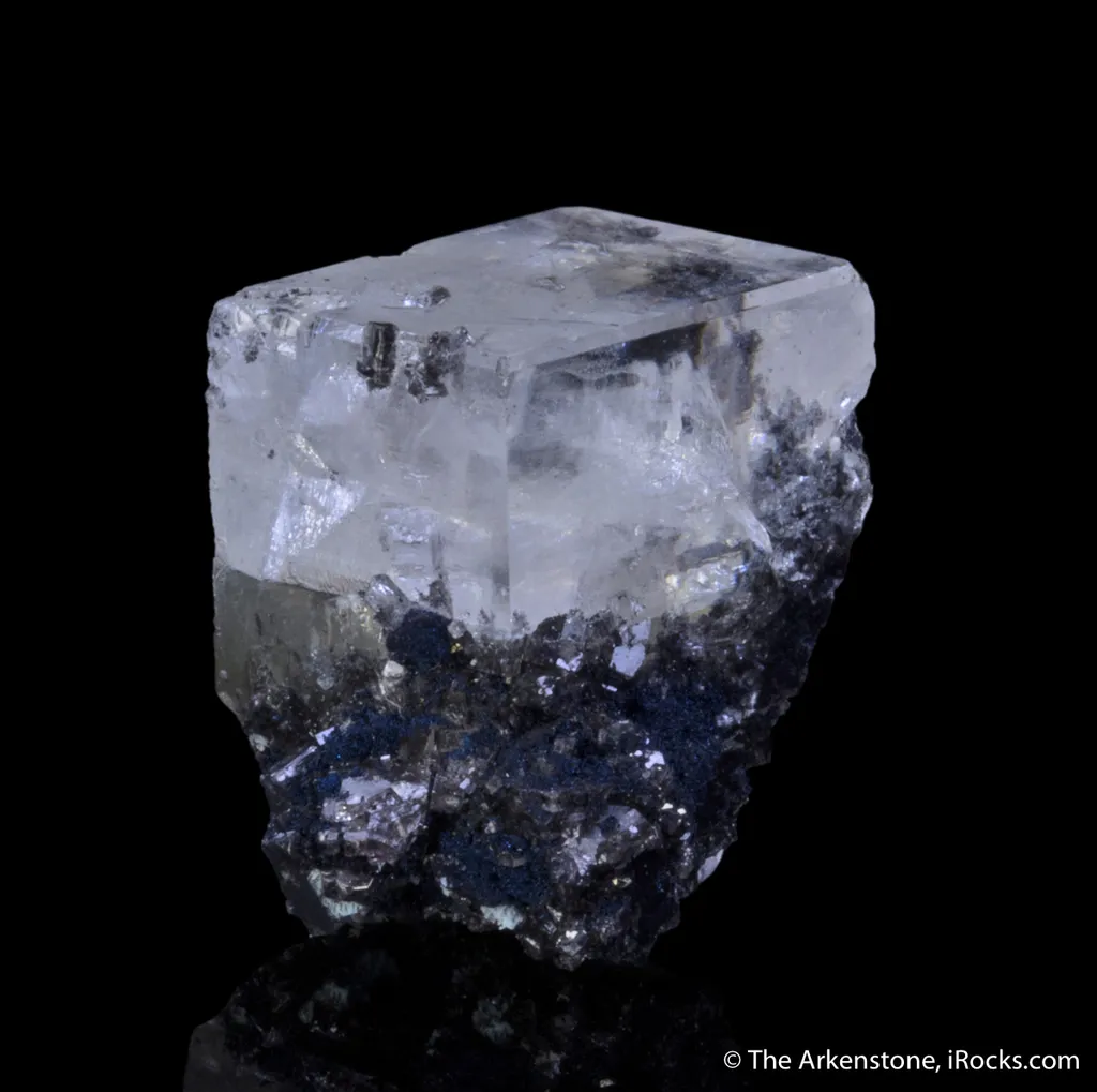 Anglesite on Galena image