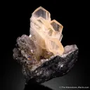 Anglesite on Galena - image 1