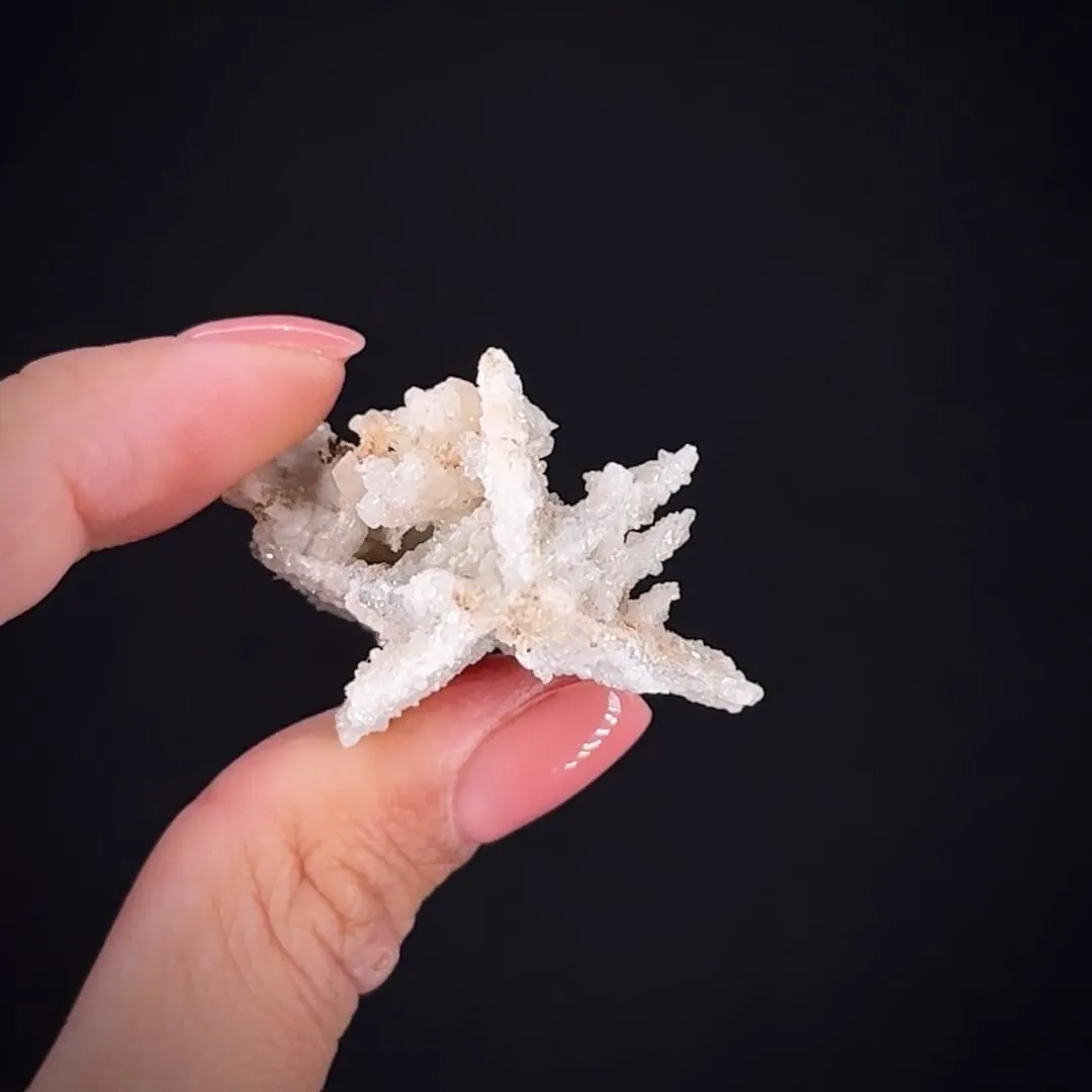 Anglesite ps. Cerussite - image 2