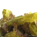 Anglesite With Cerussite - image 4