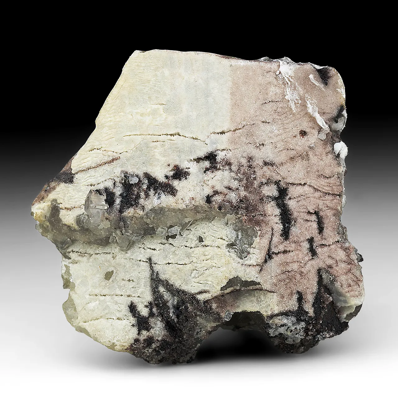 Anglesite with Cerussite, Hydrocerussite - image 1